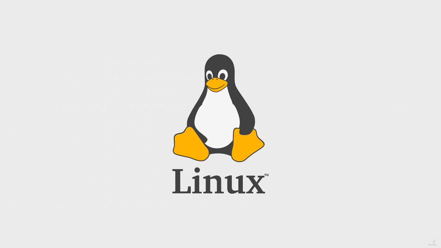 Khám Phá Các Lệnh Cơ Bản Thường Dùng Trên Linux Để Nâng Cao Kỹ Năng Quản Trị Hệ Thống